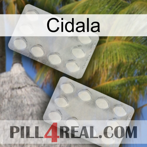 Cidala 17